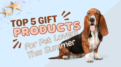 Top 5 Gift Products For Pet Lovers In This Summer