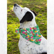 Custom Hawaiian Dog Bandanas with Photo, Matching Hawaii Aloha Shirt with Dog Face