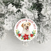 Personalized Christmas Ornament from Pet Photo, Custom Ceramic Dog Ornament with Name and Year - petownlove